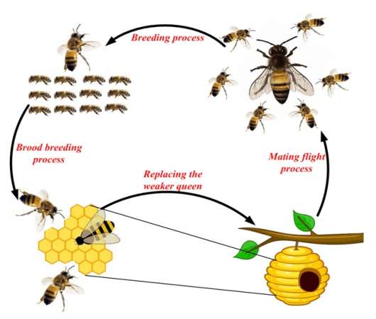 مقاله الگوریتم کلونی زنبور عسل (ABC) مقاله الگوریتم کلونی زنبور عسل (ABC)