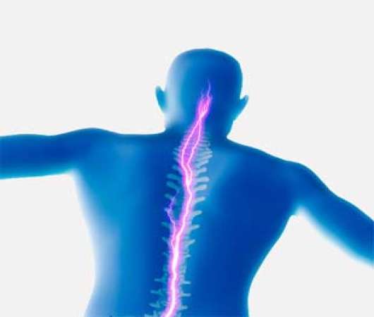 دانلود مقاله ساختمان و عملکرد ستون فقرات دانلود مقاله ساختمان و عملکرد ستون فقرات